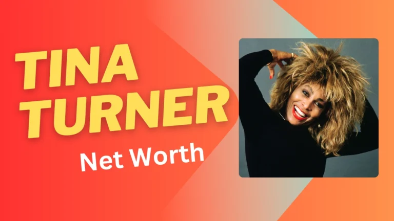 Tina Turner Net Worth
